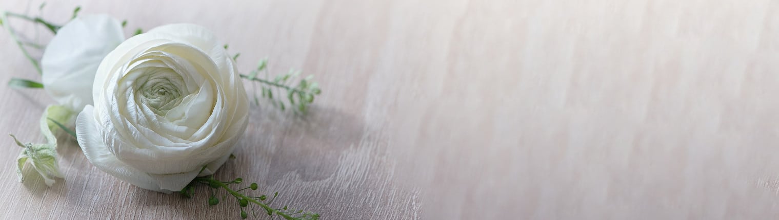 enviar flores a tanatorio de Huesca